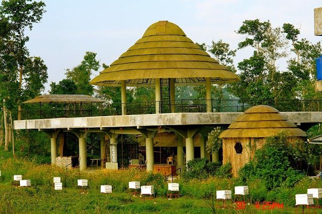 Ilog Maria Honeybee Farms